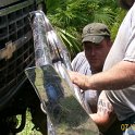 2011-Jul-09_HGR4X4_Richloam_P1 100